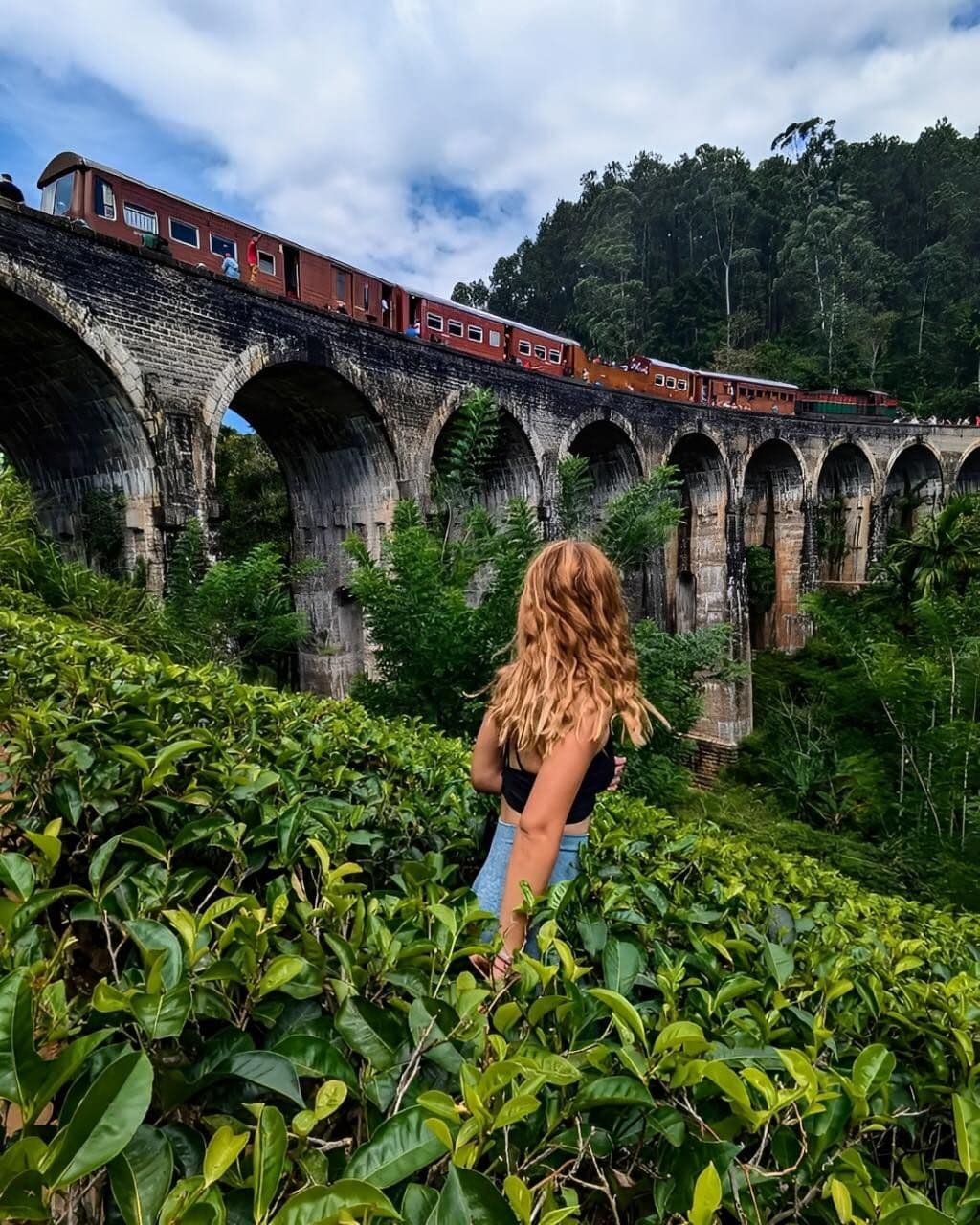 Ella + Udawalawa One Day Tour - ella2